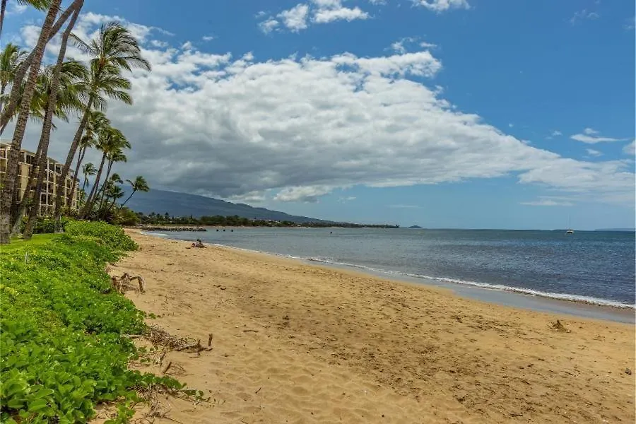 Maalaea Surf #G-2 Condo Kihei 0*,