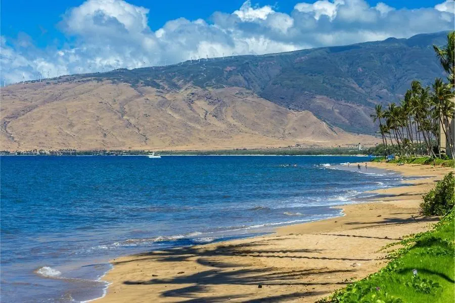 Apartment Maalaea Surf #G-2 Condo Kihei
